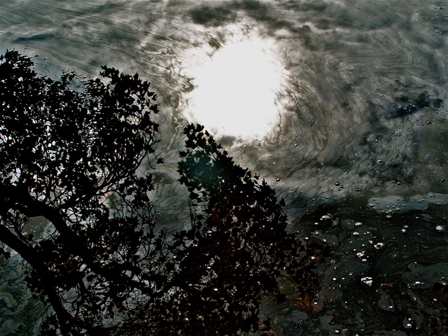 Luise Andersen  'Late Autumn Reflections MIG  II', created in 2012, Original Fiber.