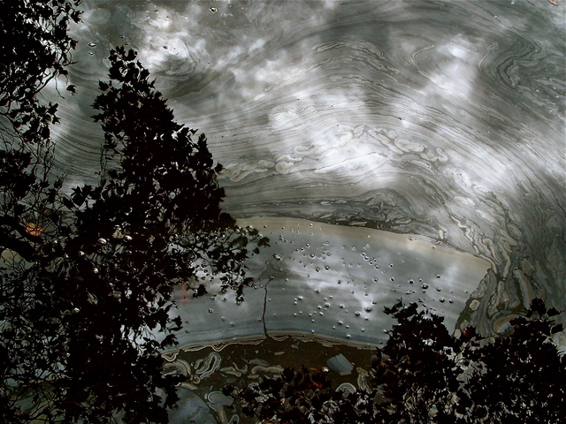 Luise Andersen  'Late Autumn Reflections MIG  IV Series', created in 2012, Original Fiber.