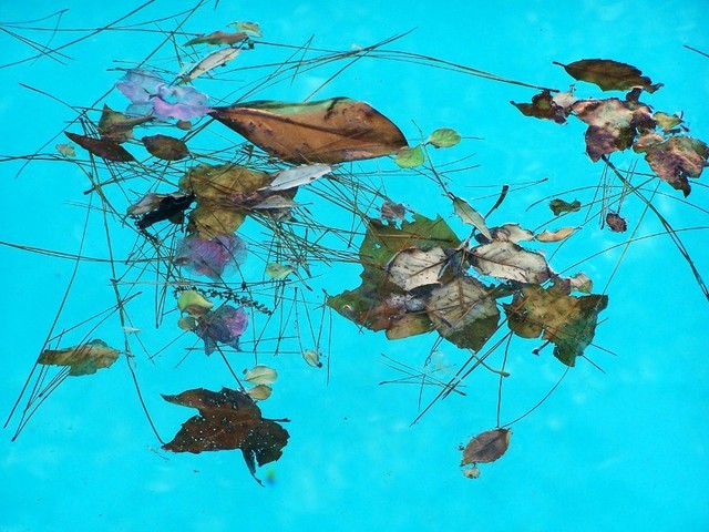 Artist Luise Andersen. 'MAGIC  In The Pool I' Artwork Image, Created in 2010, Original Fiber. #art #artist