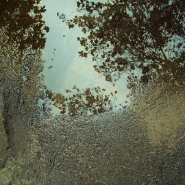 Luise Andersen: 'MORNING WALK I', 2011 Color Photograph, nature. Artist Description:' Love This Image' . . .REFLECTIONS. . AM DRAWN TO . . NO MATTER HOW SMALL THE PUDDLES. . OR HOW BIG THE POND. . WINDOWS. . STREETS. . . HOUSEWALLS. . MOUNTAINSIDES. . EVERYWHERE . . REFLECTIONS AND SHADOWS. . EYES INSTANTLY' SEE' . .PAINTINGS? . . . WELL . . HAVE SEVERAL THOUSAND. . I BELIEVE. . TAKE DAILY OFTEN UP TO 400. . SOME. . 30 OF SAME PUDDLE. . BUT ...