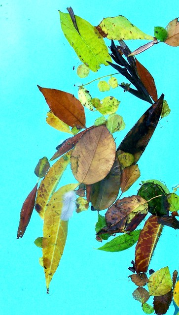 Artist Luise Andersen. 'Magic In The Pool  MIP Autumn Leaves' Artwork Image, Created in 2010, Original Fiber. #art #artist