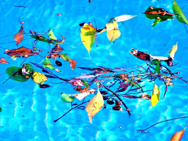 Artist Luise Andersen. 'Magic Created By Natures Winds I In The Pool' Artwork Image, Created in 2010, Original Fiber. #art #artist