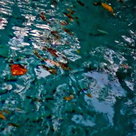 Luise Andersen: 'NO III REFLECTIONS IN THE POOL 2014', 2014 Color Photograph, Abstract. Artist Description:  * * size for uploading purpose only ...