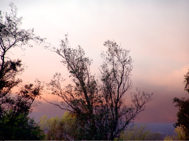 Luise Andersen  'OVER WALL Peek At Sunset I', created in 2009, Original Fiber.