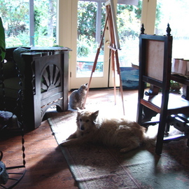 Luise Andersen: 'PAINTERS AFTERNOON GLOW  Companions I', 2008 Color Photograph, Other. Artist Description:  IS WHERE I LIKE TO BE. . SANCTUARY. . GOLDIE AND MISSY HANG OUT WITH ME WHILE I CREATE.PLACE THE PAINTING I WORK ON, ON EASEL TO VIEW FROM BEHIND LARGE DINING TABLE, ON WHICH I PLACE MANY NEWSPAPERS, PAINTS, BRUSHES. . AND WORK OFTEN ON OTHER. . WHILE EYES 'TRAVEL' ...