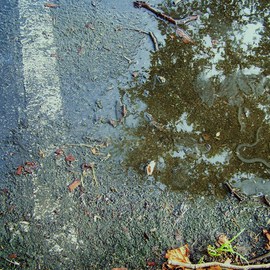 Luise Andersen: 'PARKINGLOTPUDDLES I eyes creative mind discover ', 2011 Color Photograph, Other. Artist Description: PLEASE ENLARGE. . ALSO ZOOM IN. . . . . . went for walk in Park as most mornings. . do 2 miles. . but not this morning. . eyes drawn to reflections in water puddles. . these several feet long and wide. . reflections held me. . light. . texture. . and mind/ eye. . instantly chose areas. . . which took me on ...