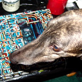 Luise Andersen: 'PRINCE OLEN  GreyHound   IV CHECK ON ME', 2008 Color Photograph, Dogs. Artist Description:  MENTIONED BEFORE, THAT HE LAYES ON HIS BIG BED- PILLOW- AND WATCHES MY MOVES. . HE IS USED TO MY DRAWING AND PAINTING- AND THAT I AM DEEP 'IN IT' . . SO WHEN HE CRAVES EXTRA PETTING AND HOLDING- HE MOVES BETWEEN TABLE AND COUCH- SNIFFS OVER MY WORK- AND ...