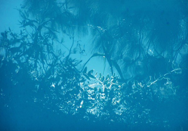 Luise Andersen  'REFLECTIONS In Pool JUNGLE BLUES', created in 2010, Original Fiber.