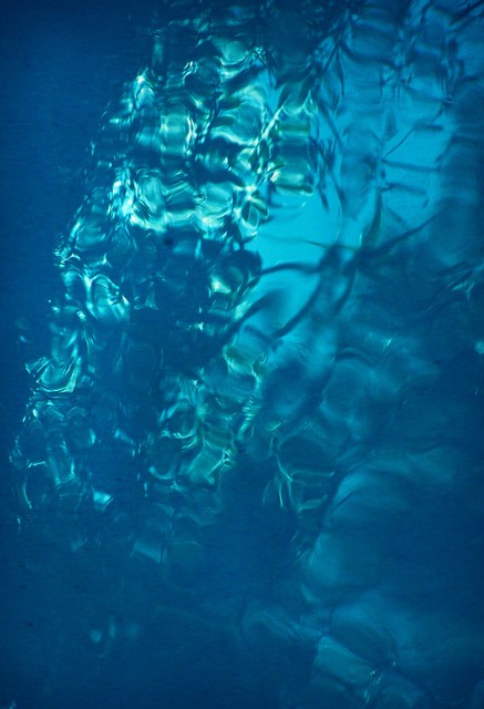 Luise Andersen  'REFLECTIONS In Pool JUNGLE BLUES VisagesEnGuard', created in 2010, Original Fiber.