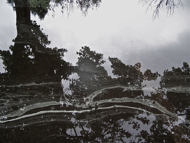 Artist Luise Andersen. 'REFLECTIONS In Water Puddles  I APRILTWENTYSIXTWOOTWELVE' Artwork Image, Created in 2012, Original Fiber. #art #artist