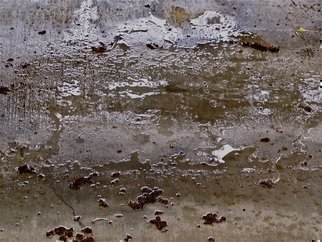 Luise Andersen: 'Rain falling VI MaySixTwoOtwelve', 2012 Color Photograph, Other.    . . from Parking Lot RainPuddle Series. . . . this one is more cemented area than asphalted area. . with rain water flooded. . natural debris. . and debris left by people. . love the light. . reflections. . textures are incredible. . smooth surfaces like glass. . mirrors. . and yes. . the colors. . constantly changing with density of clouds. . winds. . reflections of...
