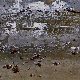 Luise Andersen: 'Rain falling V MaySixTwoOtwelve', 2012 Color Photograph, Other. Artist Description:     . . from Parking Lot RainPuddle Series. . this area is more of cement beneath all the rain water and natural debris. . as well as from the debris left by humans. . love the light. . reflections. . textures are incredible. . smooth surfaces like glass. . mirrors. . and yes. . the colors. . constantly changing with density ...