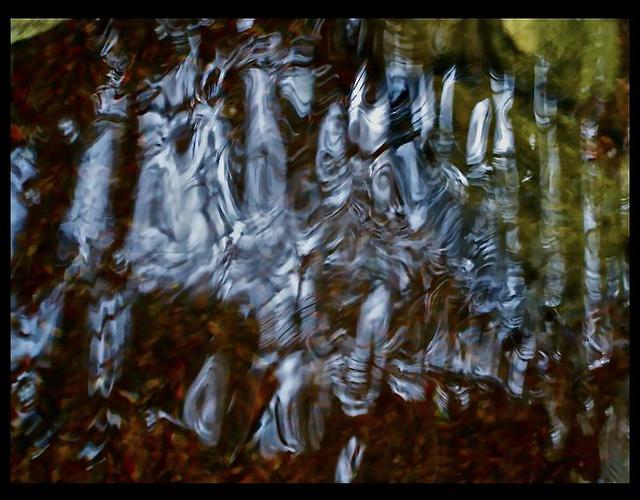 Artist Luise Andersen. 'Series Abstract Photography POND MIG I' Artwork Image, Created in 2013, Original Fiber. #art #artist