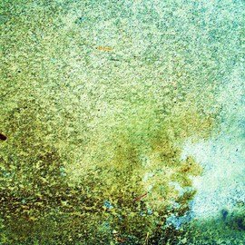 Luise Andersen Artwork Sonata In Hues I CementPathSeries, 2011 Color Photograph, Digital