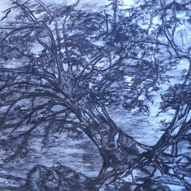 Luise Andersen: 'TREE OF HEARTS', 2013 Charcoal Drawing, Abstract. Artist Description:   upload of Nov. 30,2013- - am going through my art works. . to  catalogue. . some of are available as prints. see on left  side of image. . click on it there. . and sizes, price info etc. pop up._ _ _ _ _ _ _ _ _ _ _ _ _ _ _ _ _ _ _ _ _ _ _ _ _ _ _ _ _ _ _ _ _ _ _ _ _ _ _ _ _ _ _ _ _ _ _ _ _ _ _Detail I' Tree Of Heart ( s)free air drawing. there ...