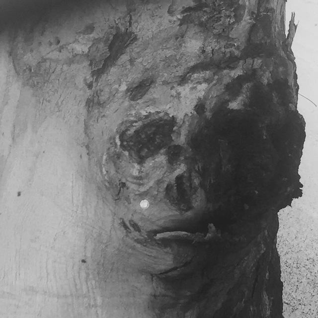 Artist Luise Andersen. 'Portraits Of A Tree Series 1' Artwork Image, Created in 2018, Original Fiber. #art #artist