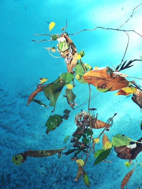 Artist Luise Andersen. 'WaterScapes  V  The REAL Of Fantasies ' Artwork Image, Created in 2011, Original Fiber. #art #artist