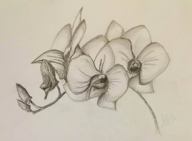 Artist Laura Testa. 'Orchids' Artwork Image, Created in 2015, Original Watercolor. #art #artist