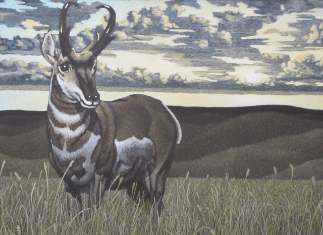 Artist Lawrence Jones. 'Prairie Flyer' Artwork Image, Created in 2012, Original Illustration. #art #artist