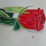 realistic rose By Lekshmy Sathi