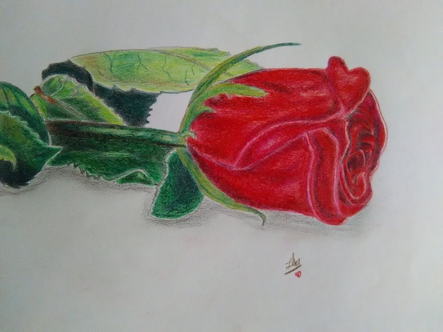 Artist Lekshmy Sathi. 'Realistic Rose' Artwork Image, Created in 2020, Original Drawing Pencil. #art #artist
