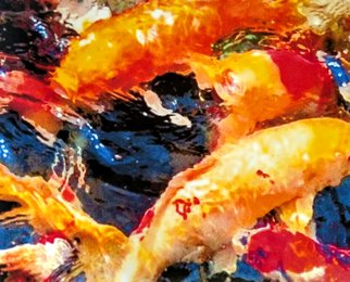 Lelia Demello: 'swirling koi', 2019 Mixed Media, Fish. Mixed media on 90lb. acid free paper. Watercolor, acrylic, and pencil. ...