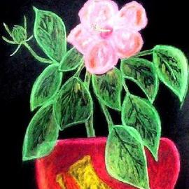 Leo Evans: 'FLORAL WEST OBP', 2005 Charcoal Drawing, Floral. Artist Description: 