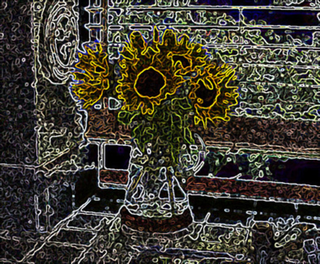 Leo Evans  'SUNFLOWER 6', created in 2006, Original Photography Color.