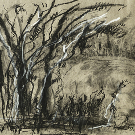 Andreas Loeschner Gornau Artwork trees in south germany, 2014 Charcoal Drawing, Trees