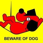Beware Of Dog, Asbjorn Lonvig