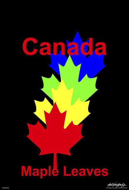 Artist Asbjorn Lonvig. 'Canada Maple Leaves' Artwork Image, Created in 2006, Original Painting Other. #art #artist