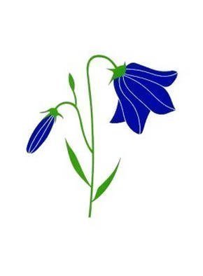 Asbjorn Lonvig: 'Harebell', 2002 Serigraph, Floral. One of 12 floral motifs in a decoration job for St Mary Hospice             ...