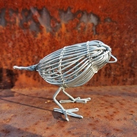 Linear Wire Bird, Joe Sab