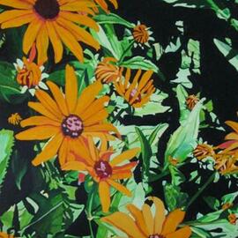 Claudette Losier: 'puzzle of black eyed suzzies', 2009 Oil Painting, Floral. Artist Description: flowers in my garden. ...