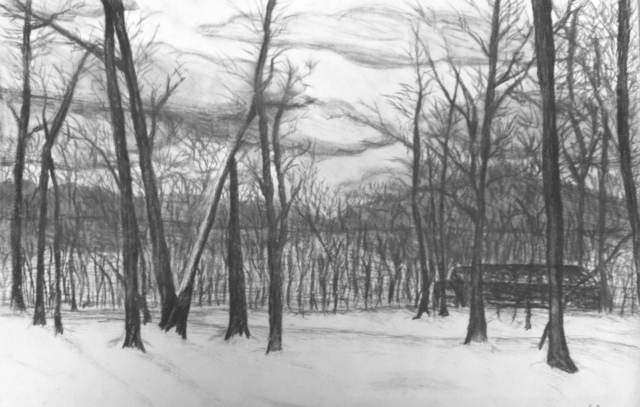 Lacey Smith  'Charcoal Woods', created in 2011, Original Drawing Marker.
