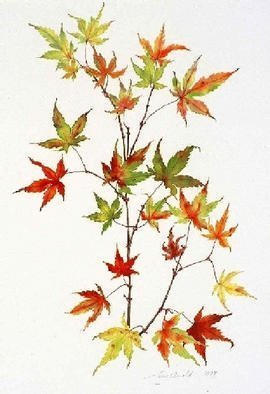 Lucy Arnold: 'Japanese Maple', 1997 , Botanical. Signed, limited edition giclee print of original watercolor.  This peaceful, delicate image captures the many colors and nuances of japanese maple leaves in autumn....