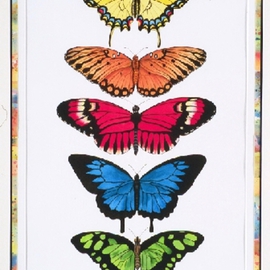 Rainbow Butterflies By Lucy Arnold