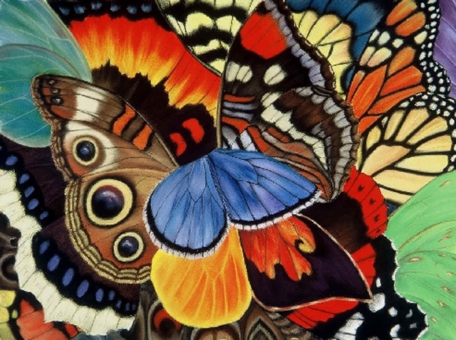 Artist Lucy Arnold. 'Wings Of California' Artwork Image, Created in 2000, Original Watercolor. #art #artist