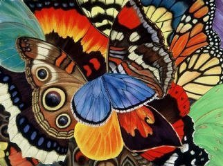 Lucy Arnold: 'Wings of California', 2000 , Animals. Signed, limited edition giclee print of original pastel.  These magnificent butterflies are all found in California for at least part of their lives.  The colors are very rich and saturated....