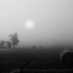Der Nebel By Bernhard Luettmer