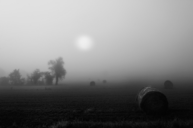 Bernhard Luettmer  'Der Nebel', created in 2010, Original Photography Other.