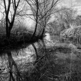 Bernhard Luettmer: 'Lago I', 2009 Black and White Photograph, Landscape. Artist Description:              Landscape in Tuscany/ Landscape, italy, tuscany, morning, totady, tree,             ...