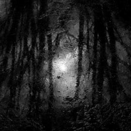 Bernhard Luettmer: 'Lago II', 2009 Black and White Photograph, Landscape. Artist Description:               Landscape in Tuscany/ Landscape, italy, tuscany, morning, totady, tree,              ...