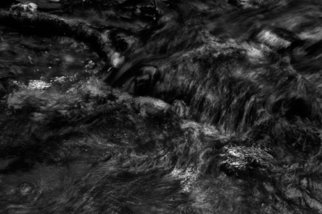 Bernhard Luettmer: 'SCHWARZES WASSER II', 2010 Black and White Photograph, Abstract Landscape.                    Landscape in Tuscany/ Landscape, italy, tuscany, morning, totady, tree,                   ...