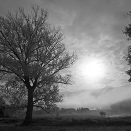 Bernhard Luettmer: 'This morning III', 2009 Black and White Photograph, Landscape. Artist Description:    Landscape in Tuscany/ Landscape, italy, tuscany, morning, totady, tree,   ...
