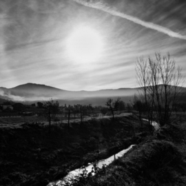 Bernhard Luettmer: 'This morning IV', 2009 Black and White Photograph, Landscape. Artist Description:          Landscape in Tuscany/ Landscape, italy, tuscany, morning, totady, tree,         ...