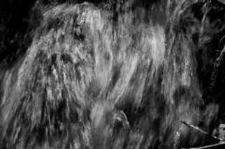 Bernhard Luettmer: 'Water', 2009 Black and White Photograph, Abstract Landscape.     Landscape in Tuscany/ Landscape, italy, tuscany, morning, totady, tree,    ...