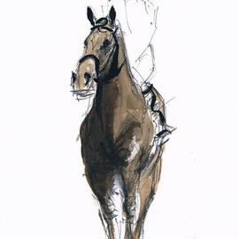 Tom Lund-lack: 'Jockey study No 3', 2012 Ink Painting, Equine. Artist Description: One of a series of ten studies exploring the movement of horses.  The freedom that is sometimes expressed in the study reflects the loose brush and pen strokes used to create the piece.  All these studies are in Indian ink on paper and are signed and dated.  They ...