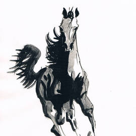Tom Lund-lack: 'Running Horse no 2', 2012 Ink Painting, Equine. Artist Description:  One of a series of ten studies exploring the movement of horses. The freedom that is sometimes expressed in the study reflects the loose brush and pen strokes used to create the piece. All these studies are in Indian ink on paper and are signed and dated. They ...