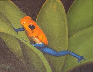 Nicola Lupoli: 'Tree Frog', 2003 Oil Painting, nature. 